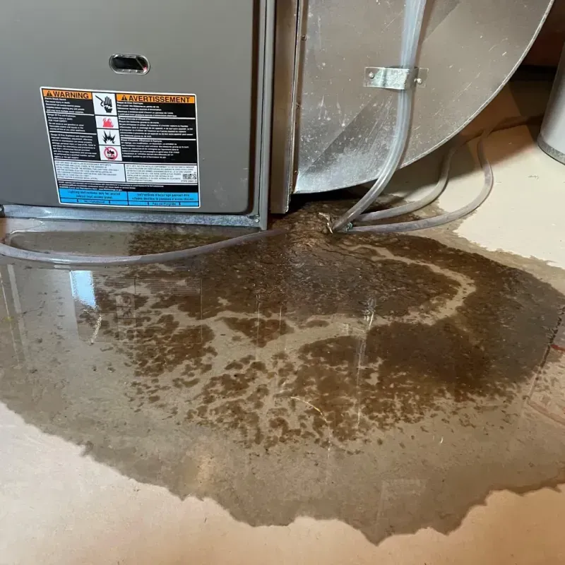 Appliance Leak Cleanup in Kure Beach, NC